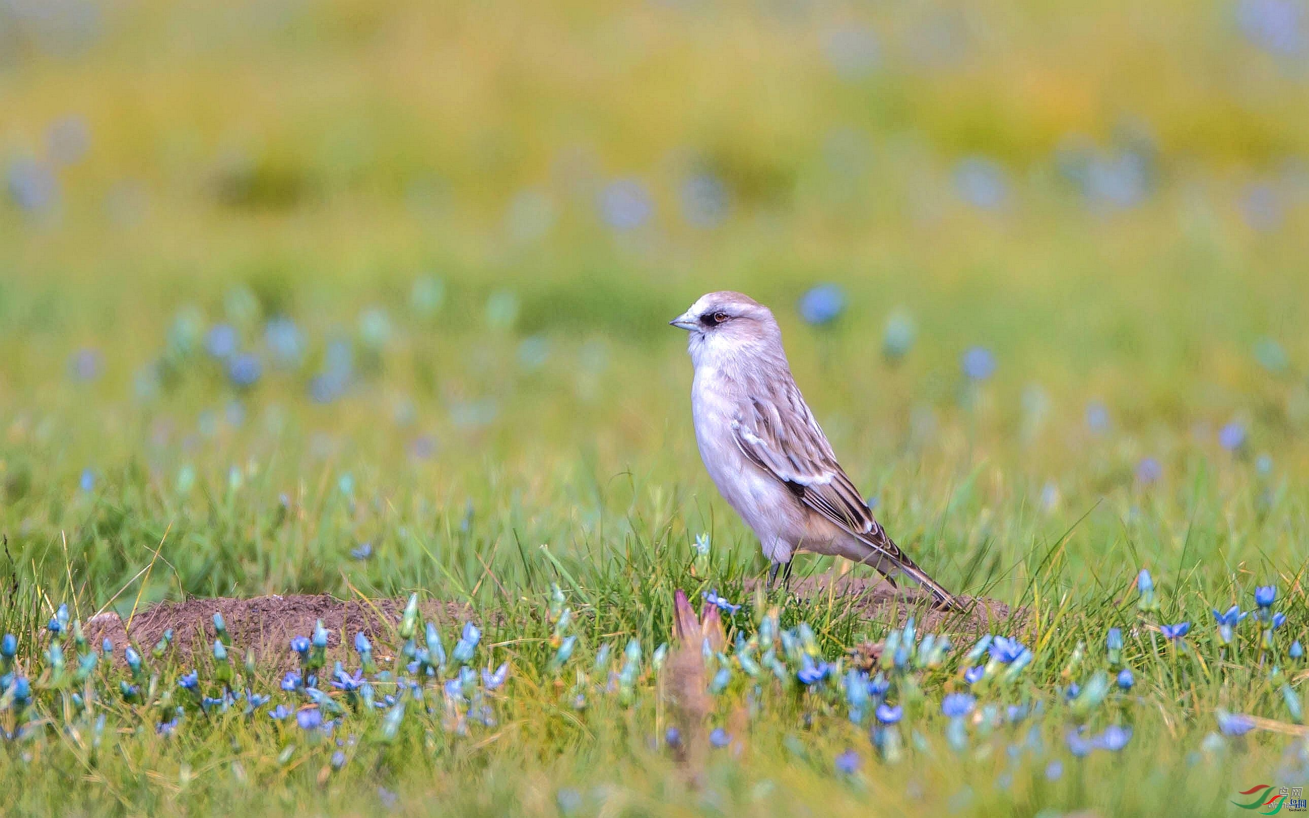 ��������  �ຣʡ�������������ݸղ���.jpg