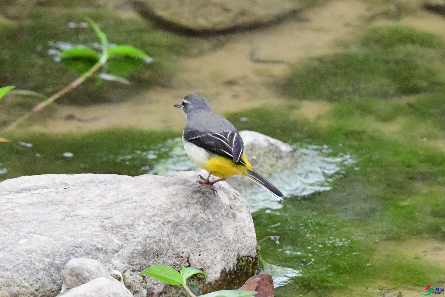 DSC_8549_������.jpg