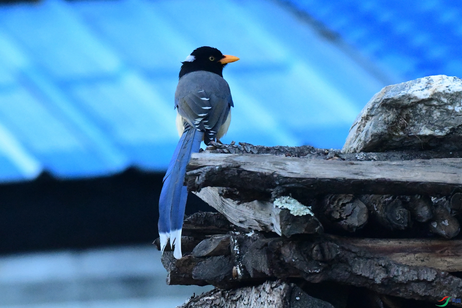 DSC_0728_�����㽭.jpg