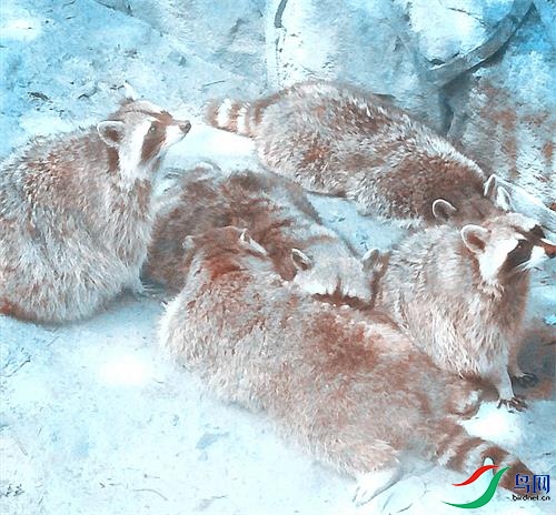 ΢��ͼƬ_20220305114456 - ����.jpg