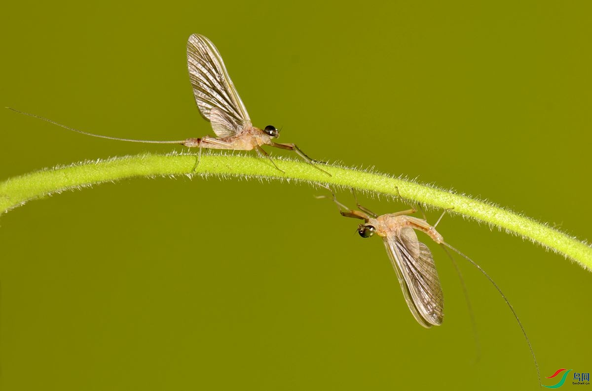 DSC_5280_����.jpg