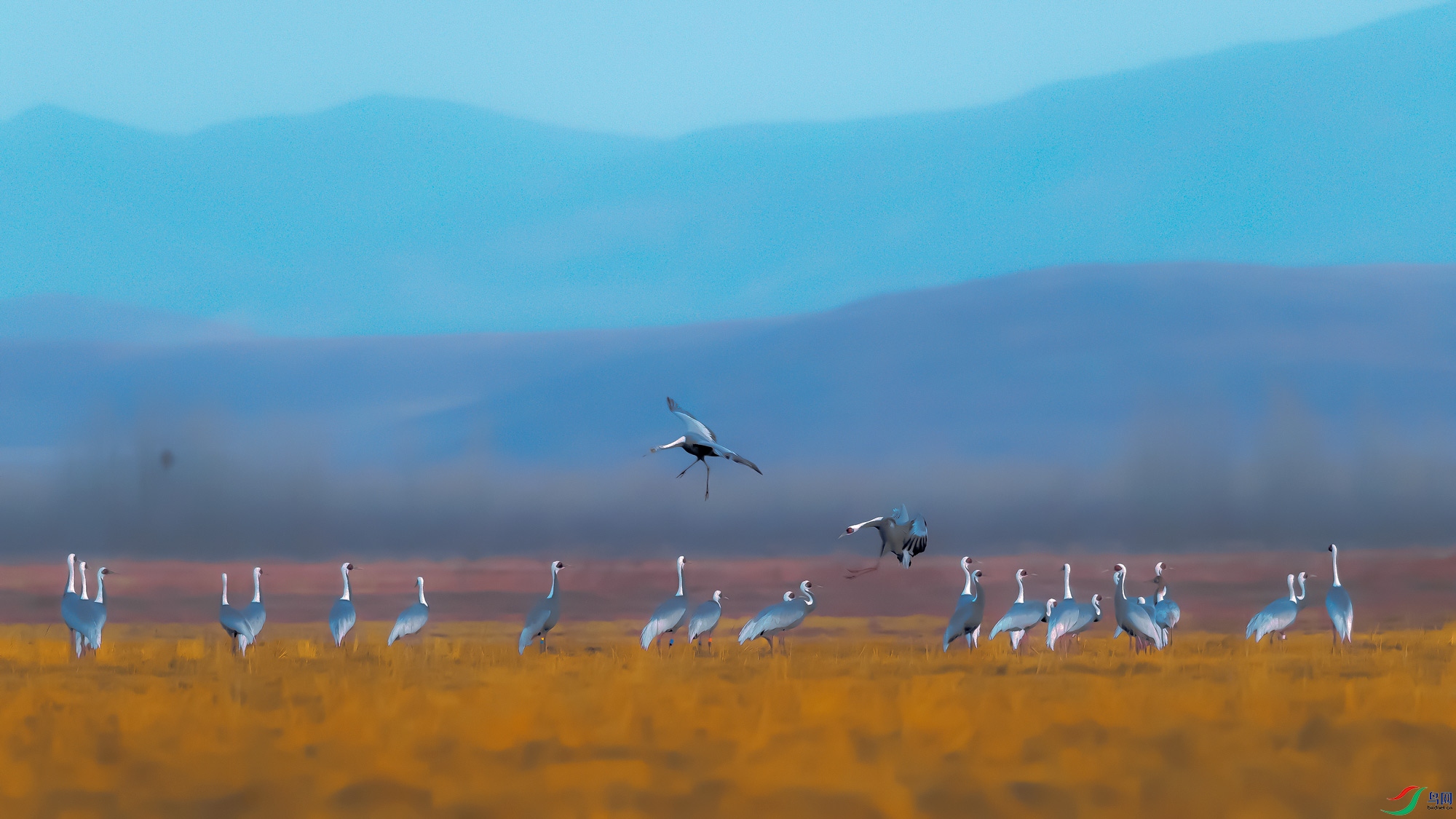 DSC_7295k.jpg