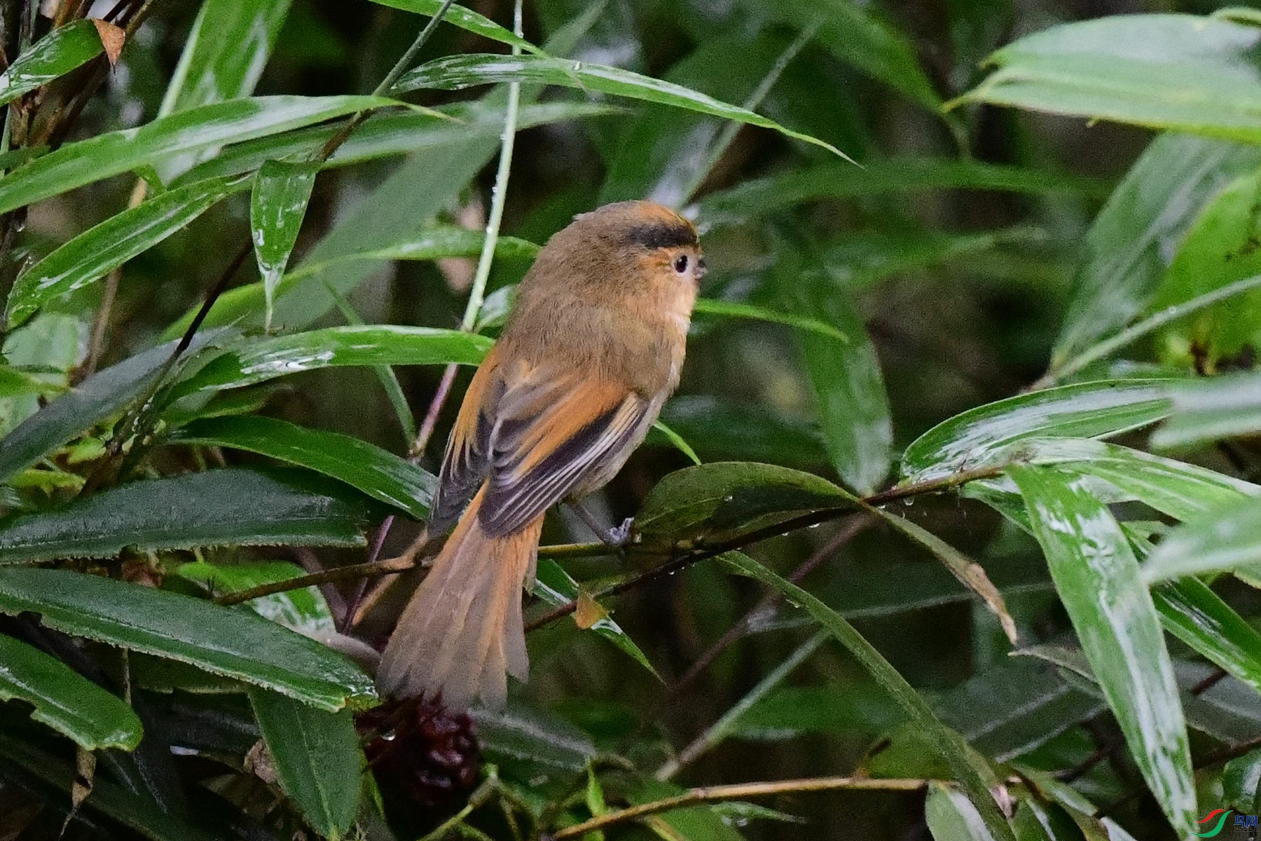 DSC_3540_���������Ĵ�������̨���������.jpg