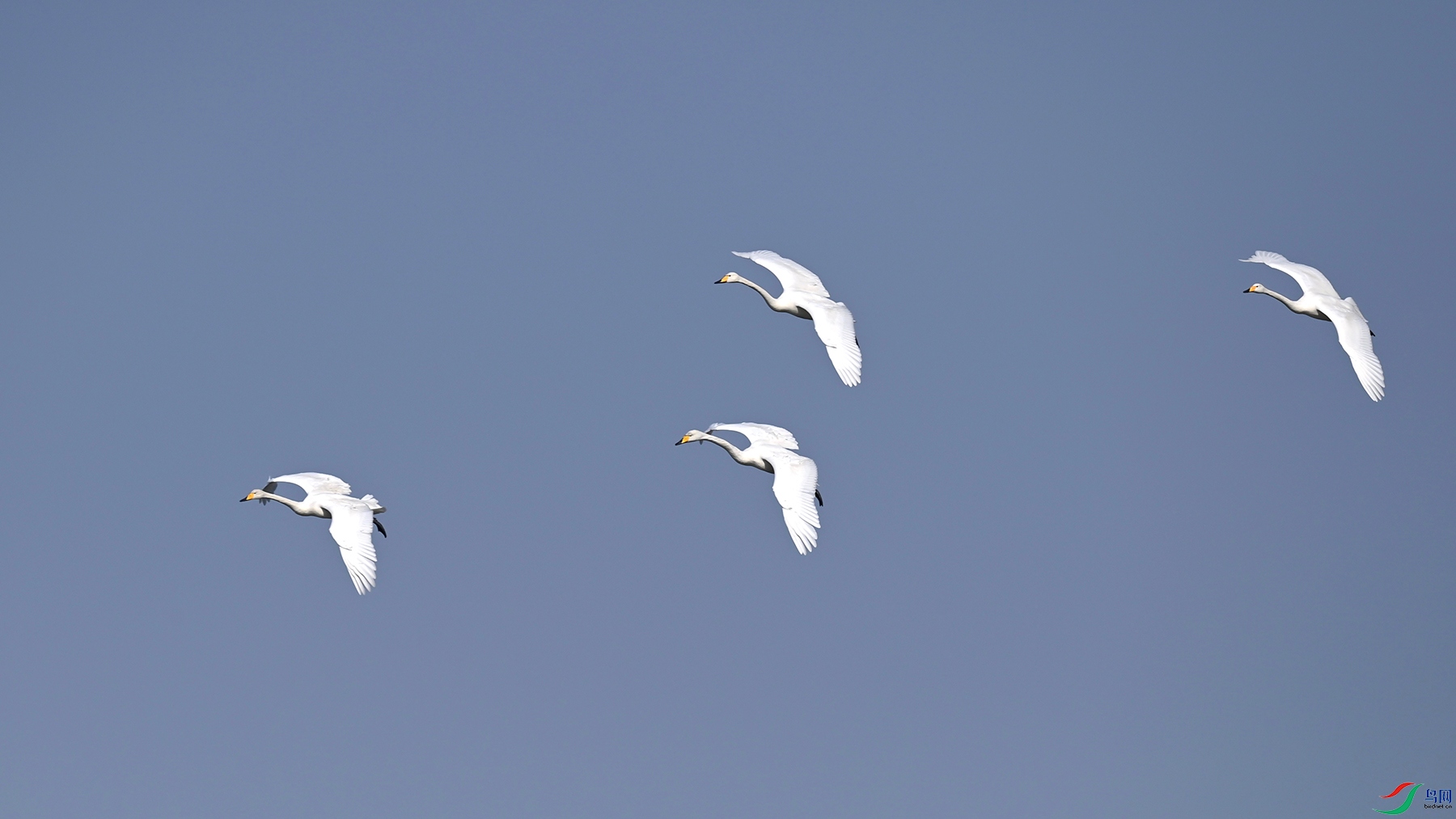 DSC_2945.jpg