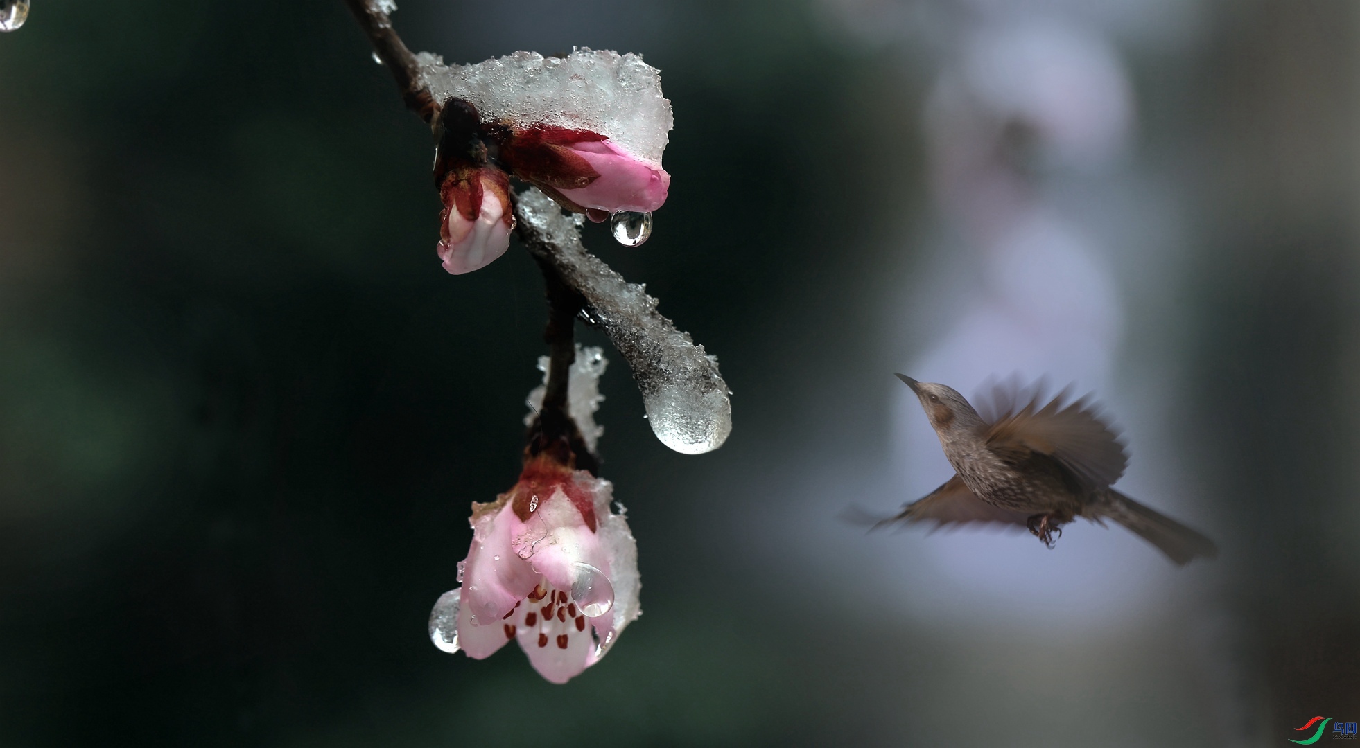 �Ǵ�����