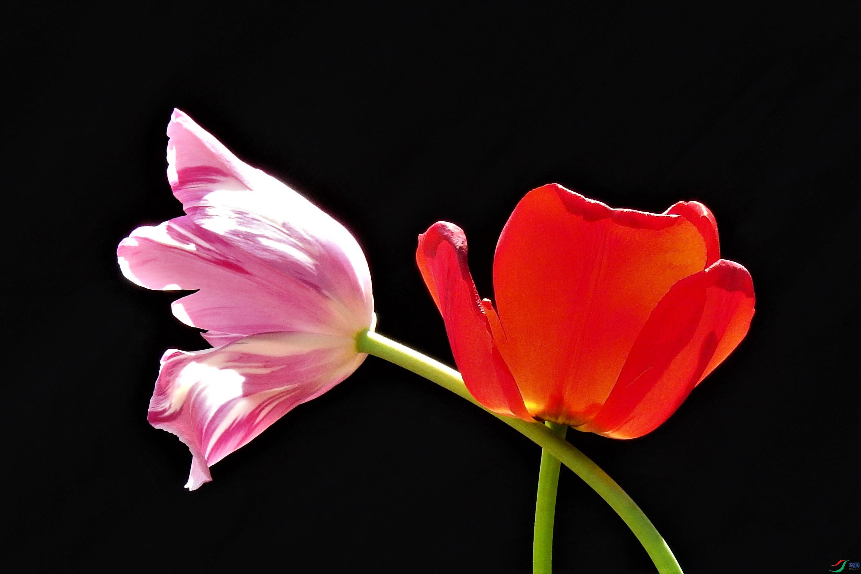 DSCN8344.JPG