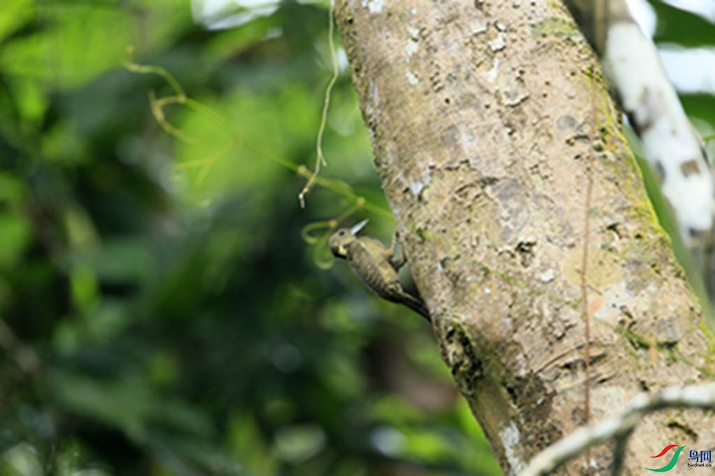 126.jpg