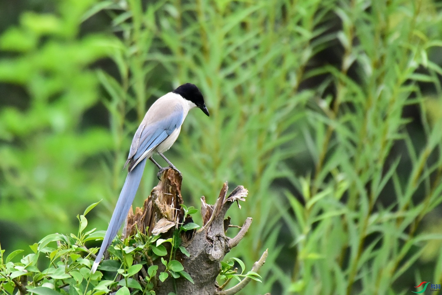 DSC_4897.JPG