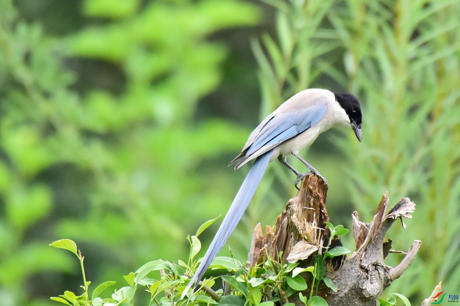DSC_4909.JPG