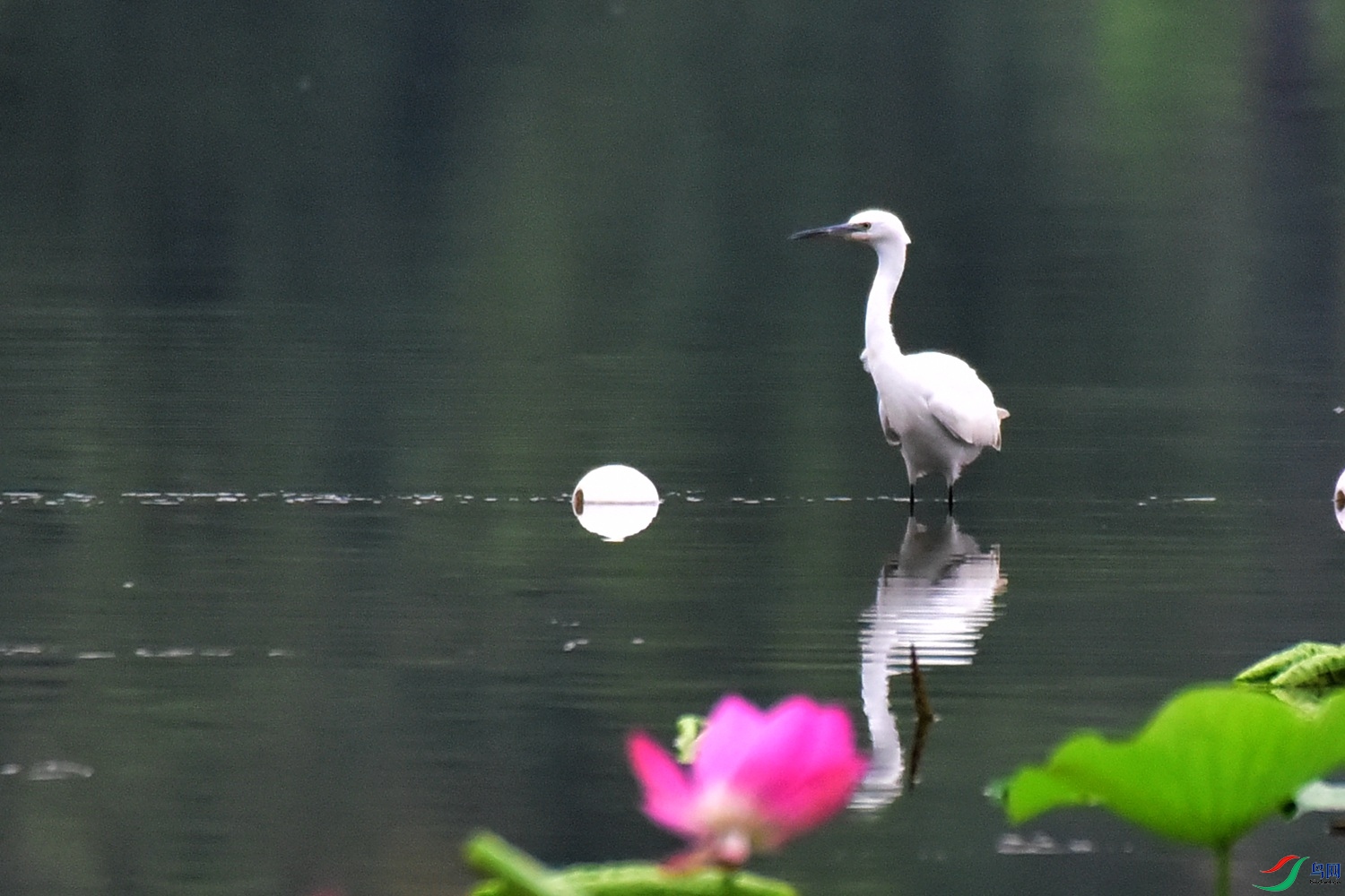 DSC_5628.JPG