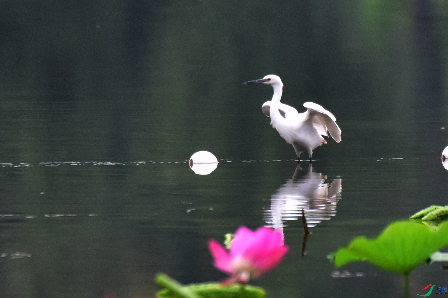 DSC_5629.JPG