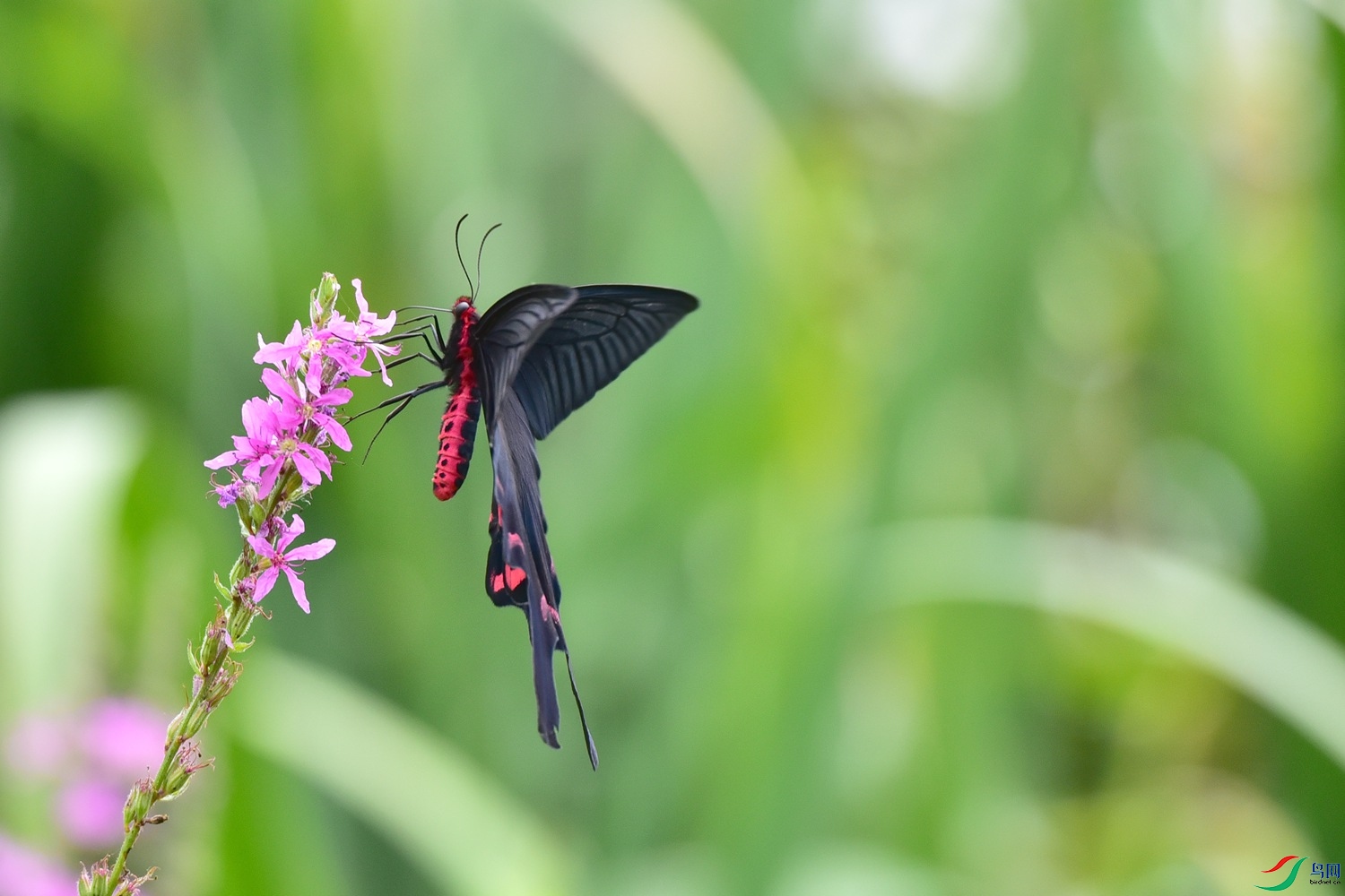 DSC_5991.JPG