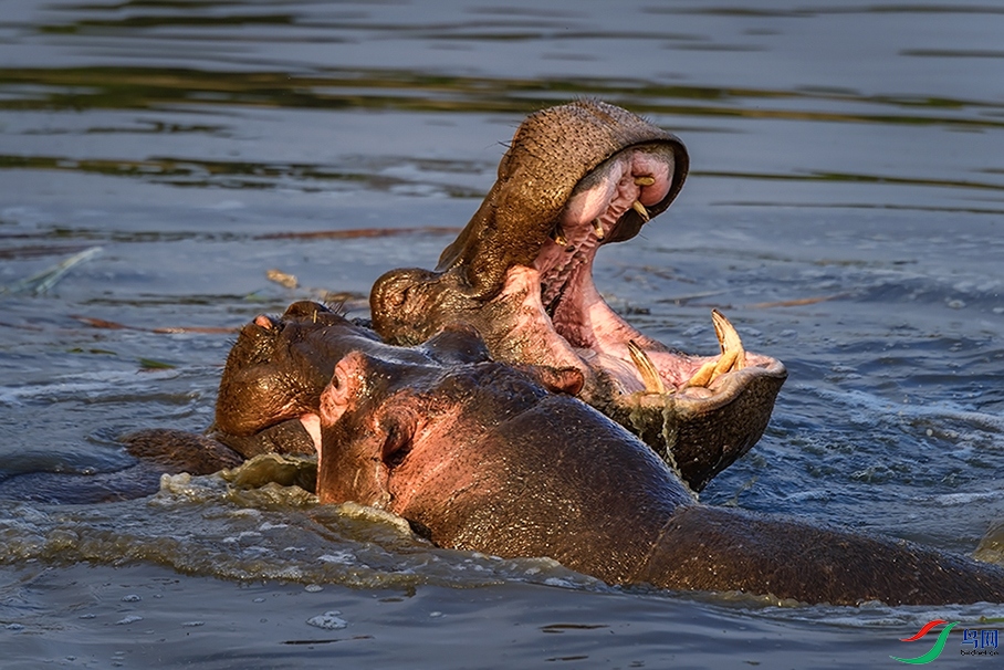 �����ڿ���������������