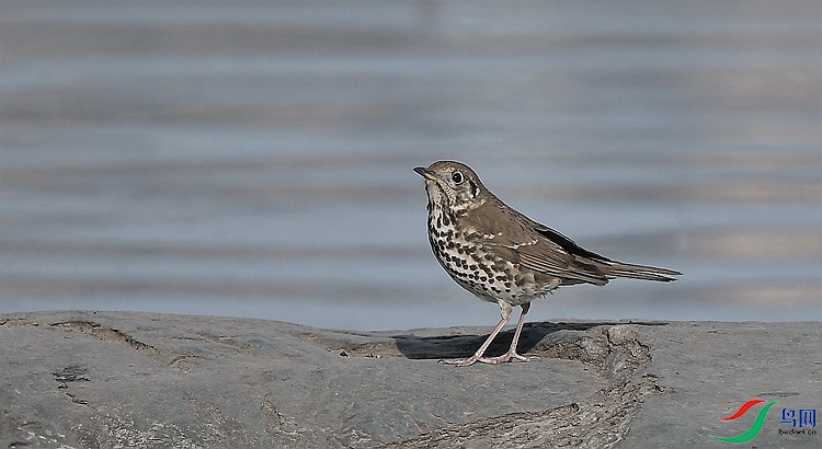 DSC_1506.JPG