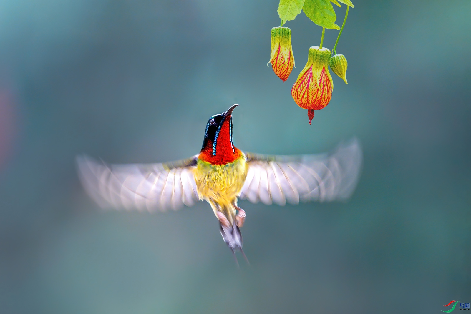 DSC_3943 ����-g_����.jpg