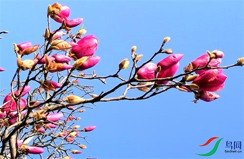 ΢��ͼƬ_20220305114824 - ����.jpg