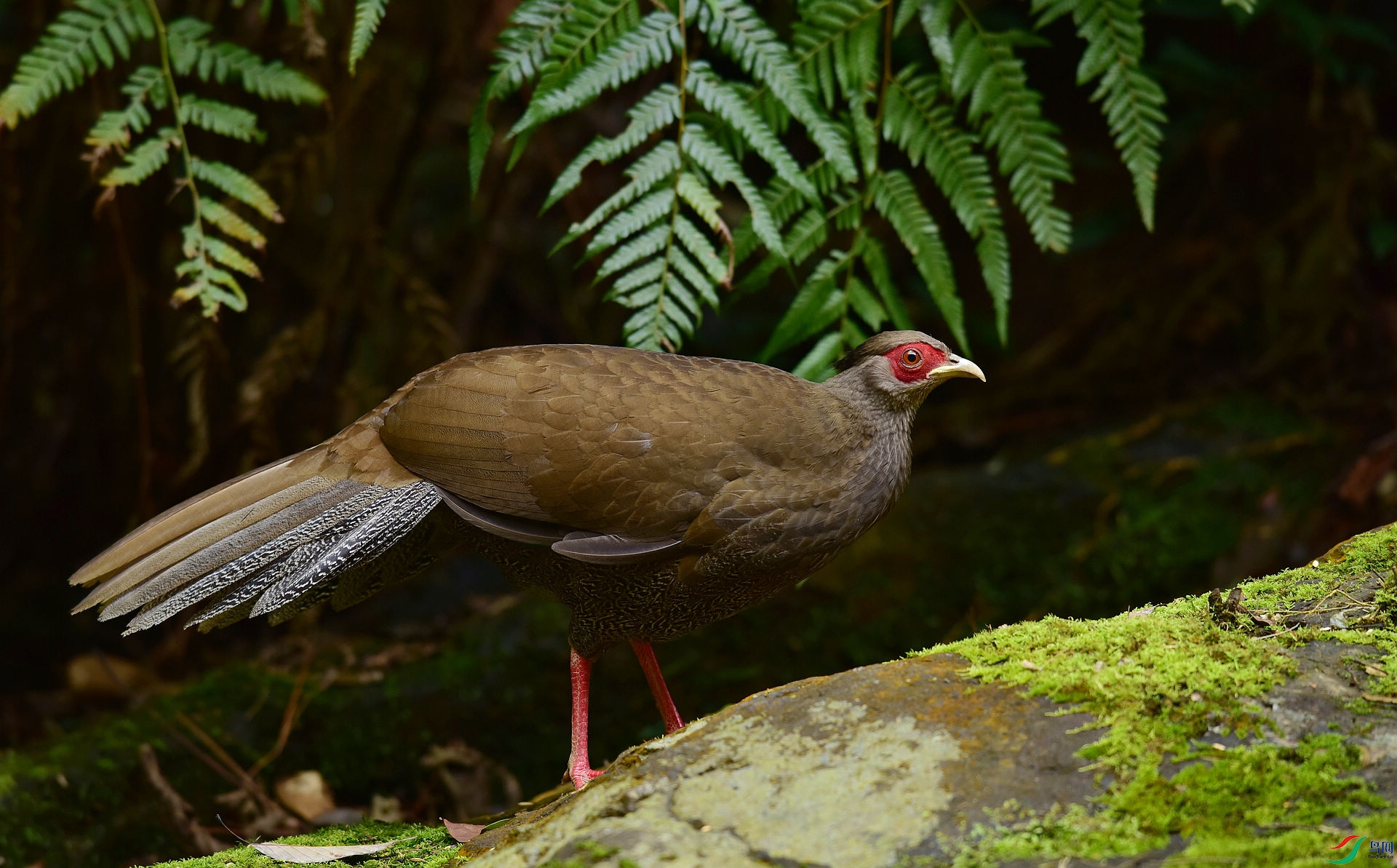 D8I_0797.jpg