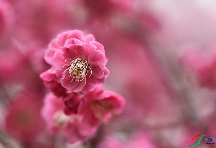 DSC_3982.JPG