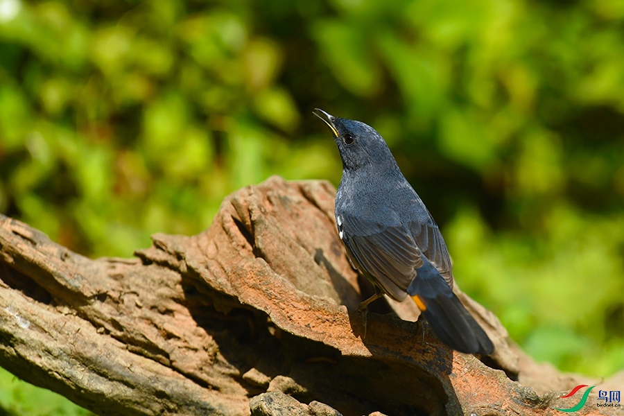 5DSC_3897_DxOa.jpg