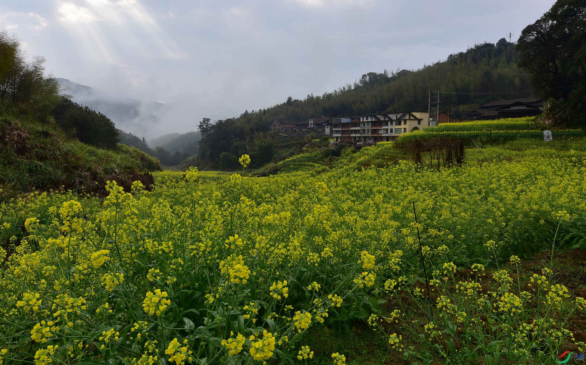 D8I_0911.jpg