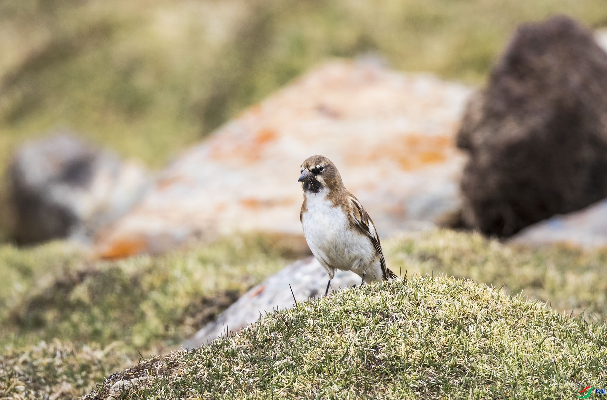 zhj926888  ��ʦ�����ڸ���ʡ��Ҵ������ԣ����������.jpg