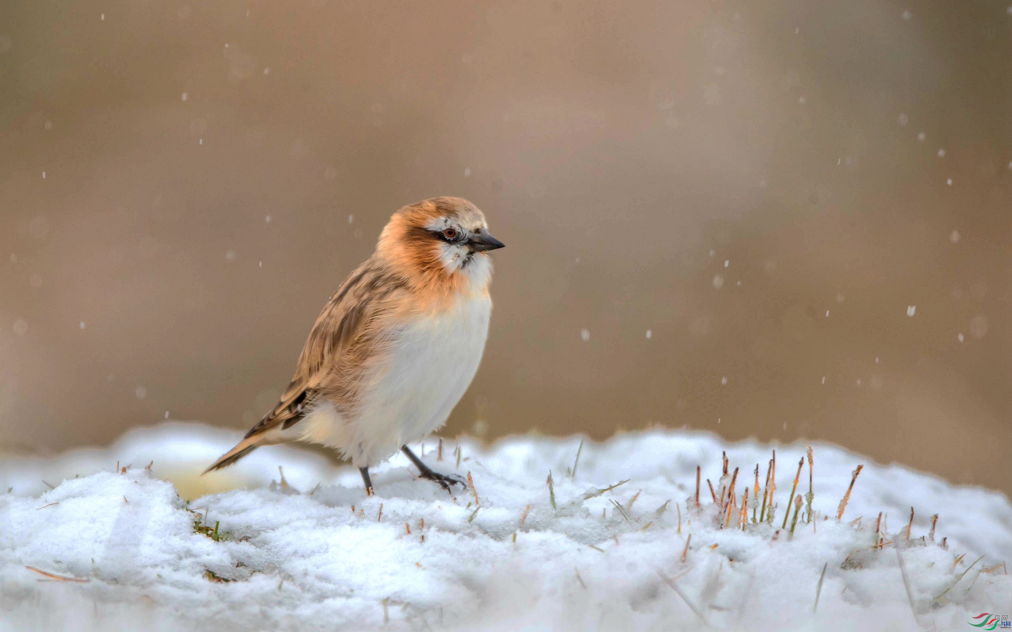 ��������  ��ʦ�������ຣʡ�������������ݸղ���.jpg