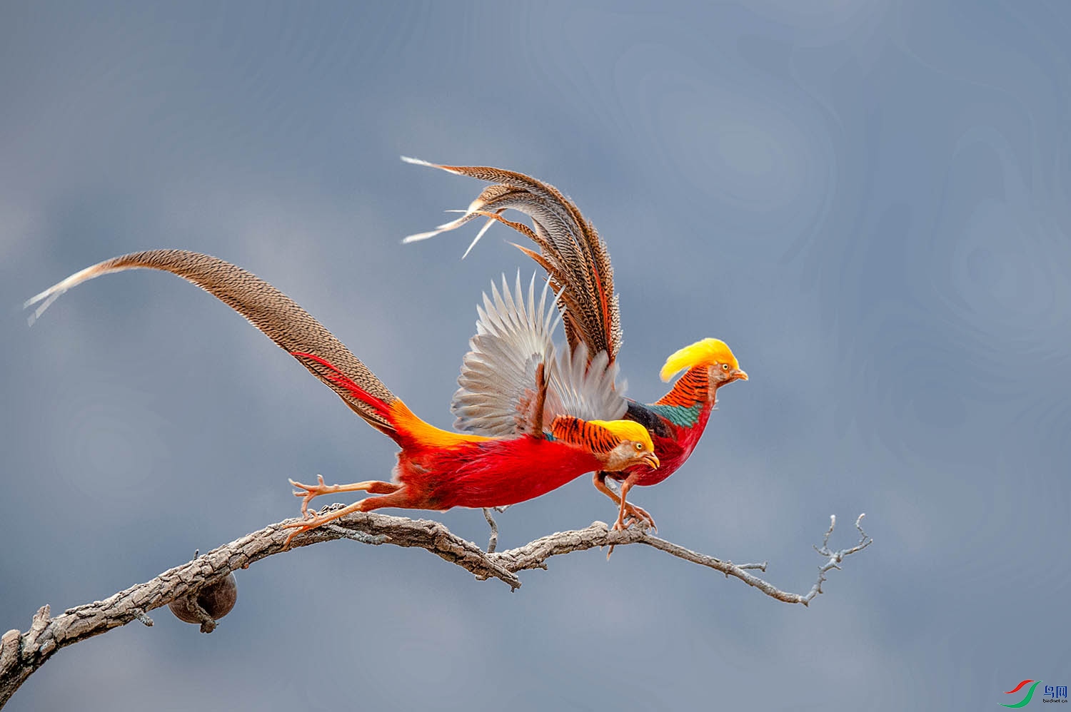 _DSC0377 (2).jpg000.jpg