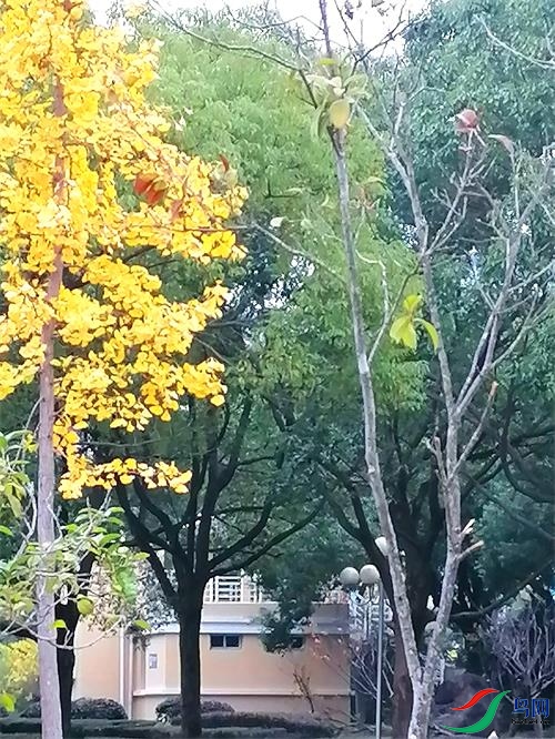΢��ͼƬ_20220305114810.jpg