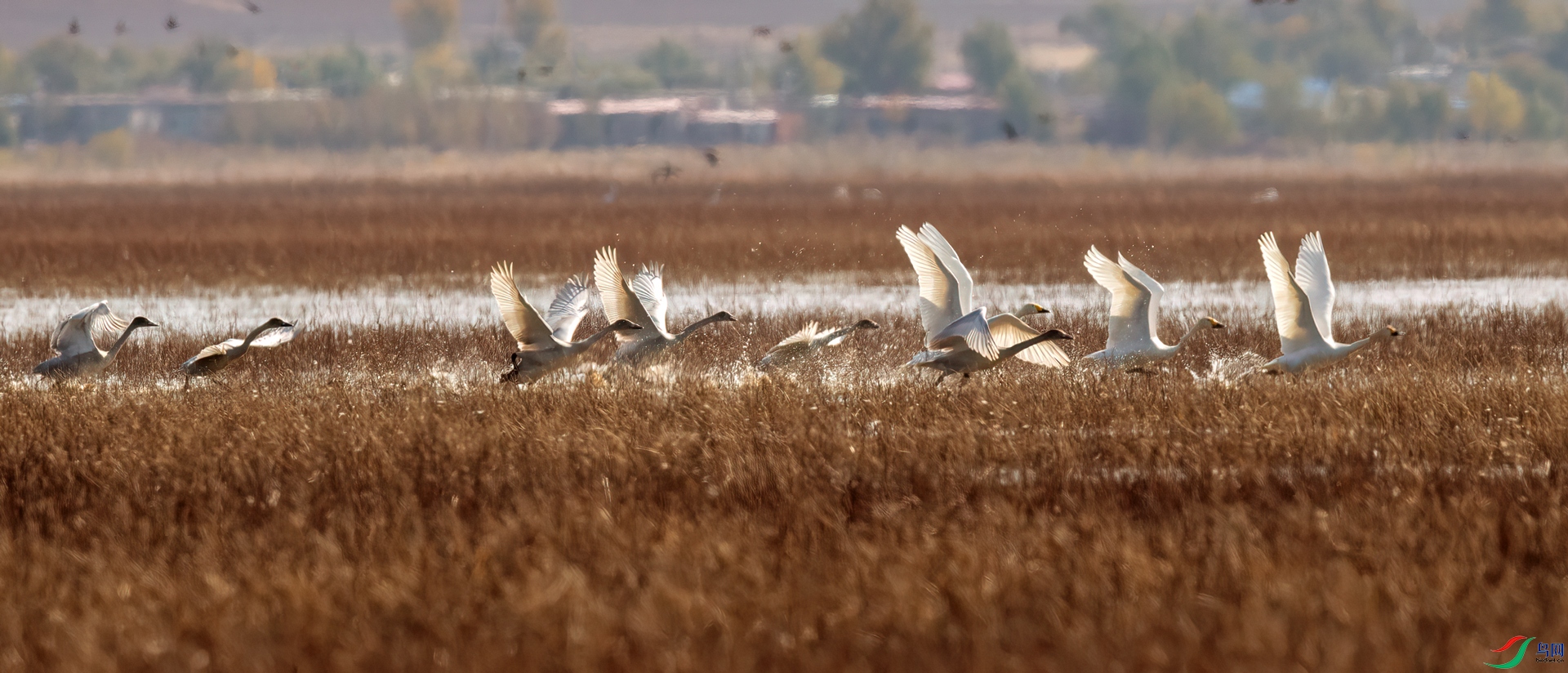 _DSC3852==1w.jpg