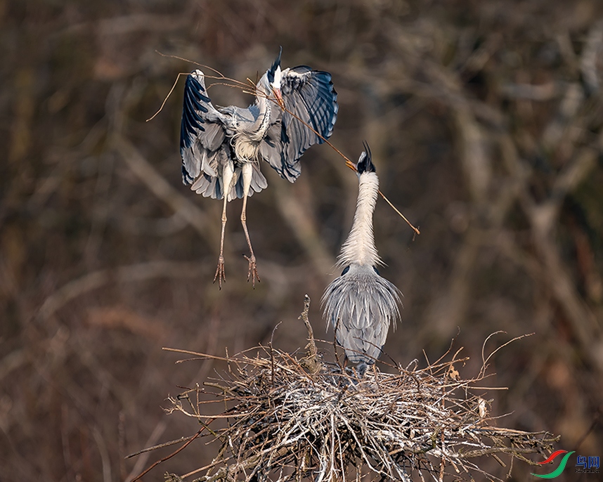 DSC07033 ����.jpg