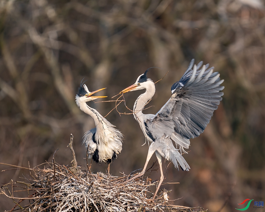 DSC06990 ����.jpg