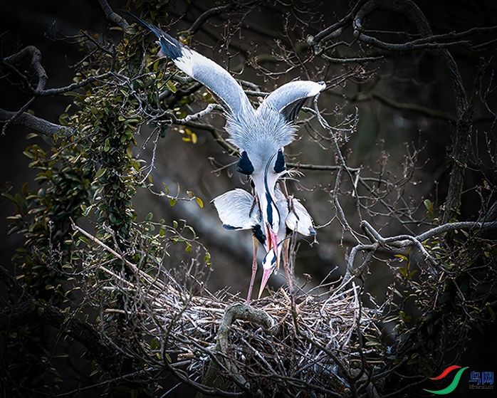 DSC07763 ����.jpg