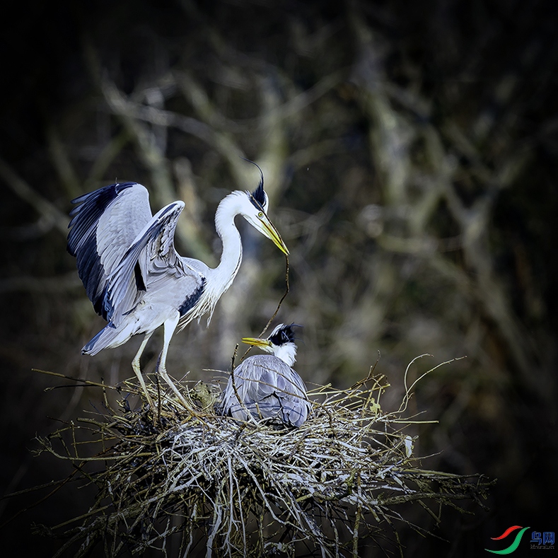 DSC07055 ����.jpg