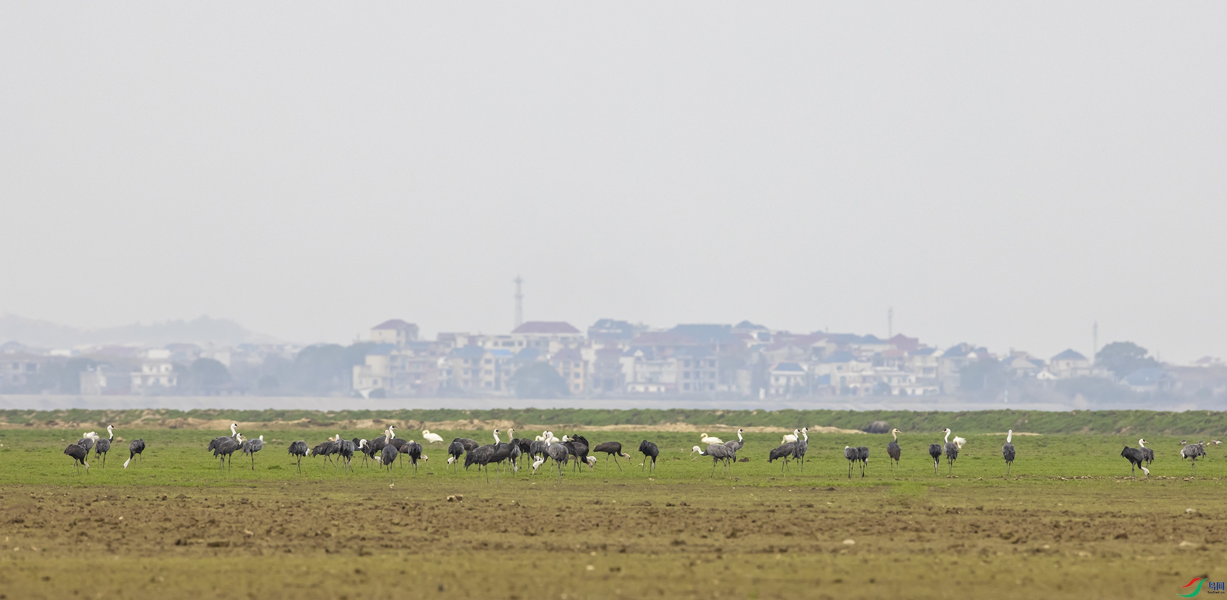 _07A6803--0  .jpg