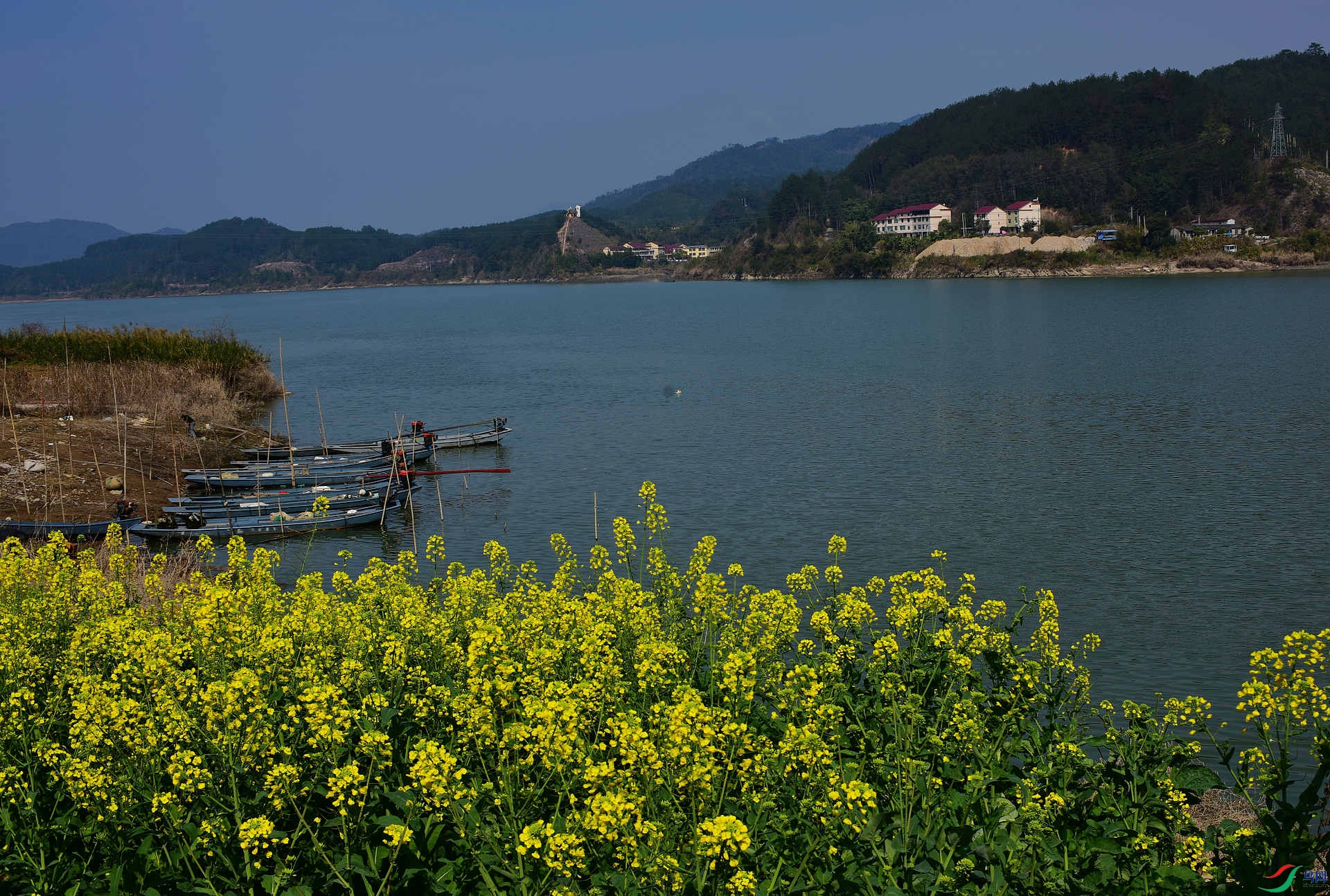 D8I_8280.jpg
