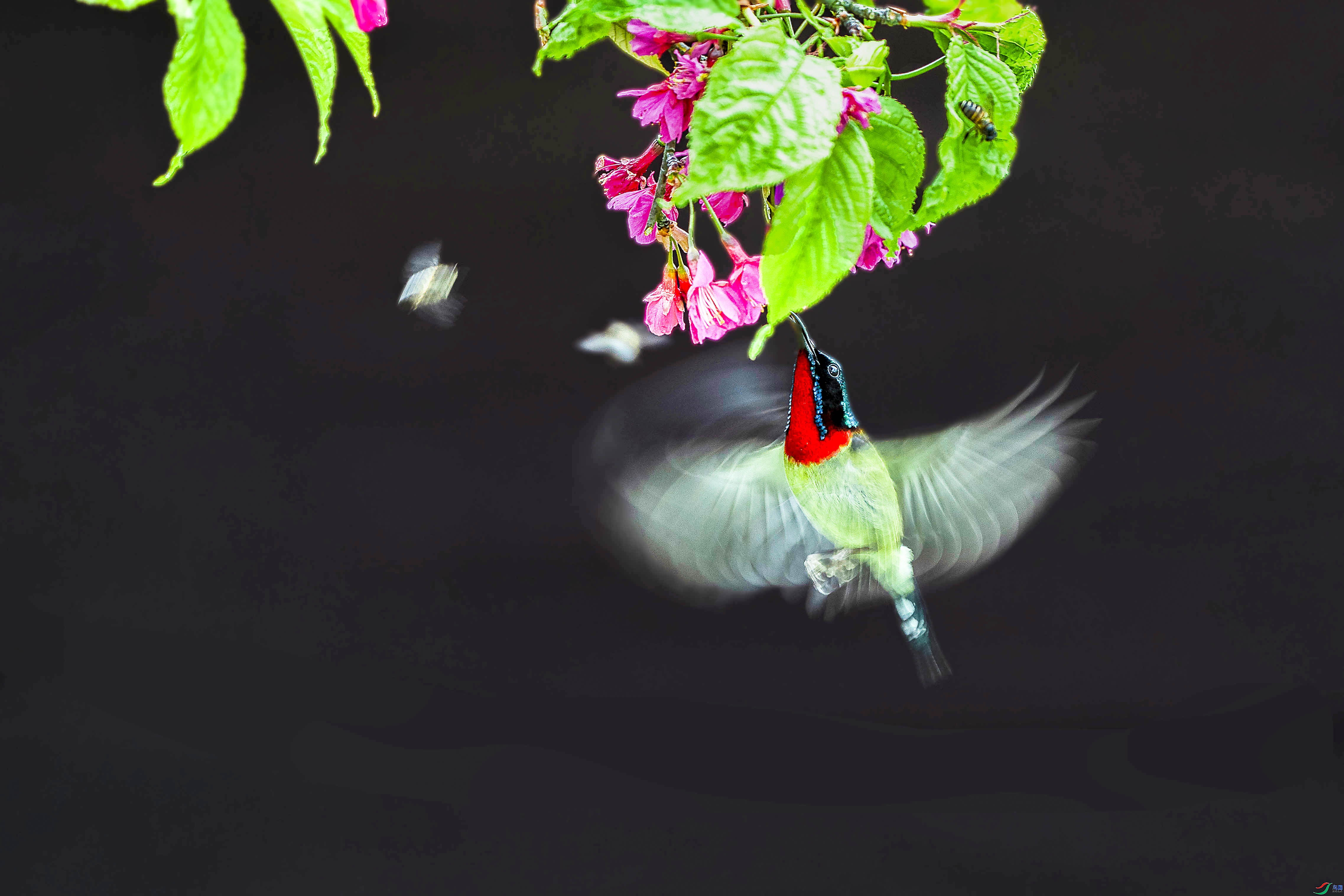 175126ccogadmk3kbddvdv ����.jpg