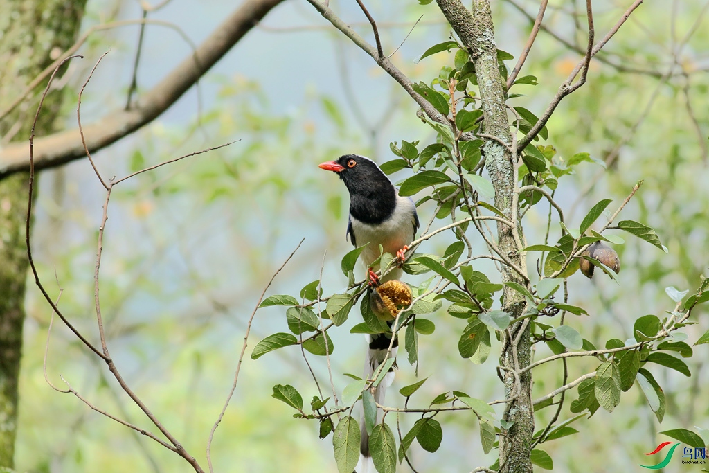 367A4600_����.jpg