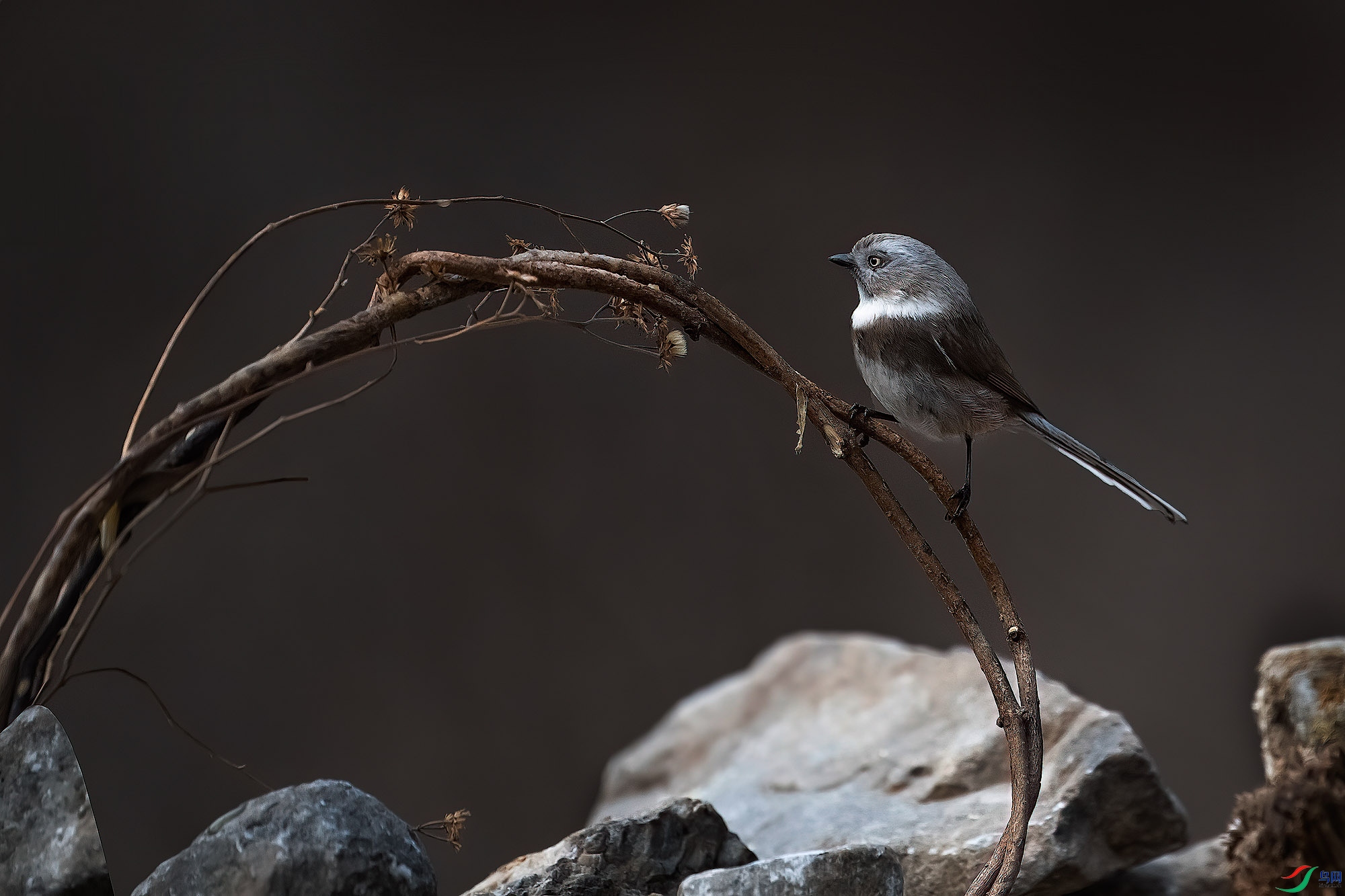 _DSC8406x ����.jpg