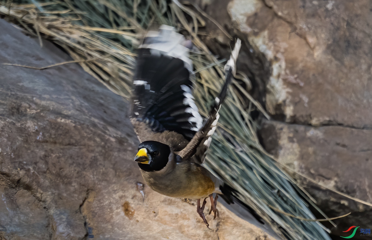 _DSC3400.jpg