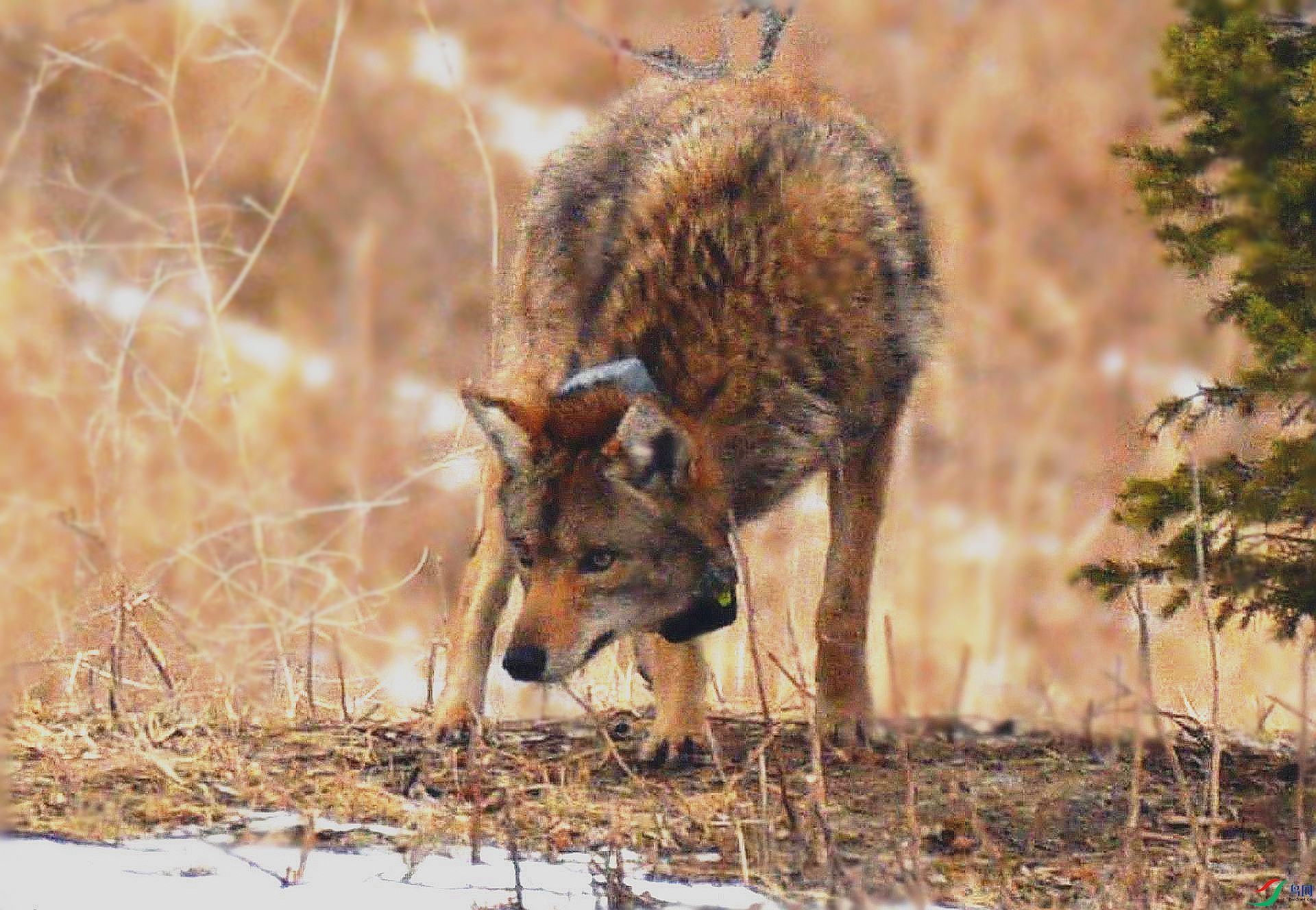 DSC_7020_����.jpg