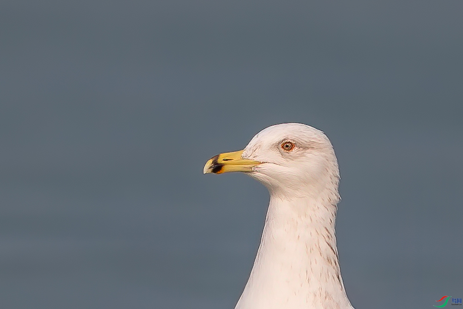 AQ4P1075-1.jpg