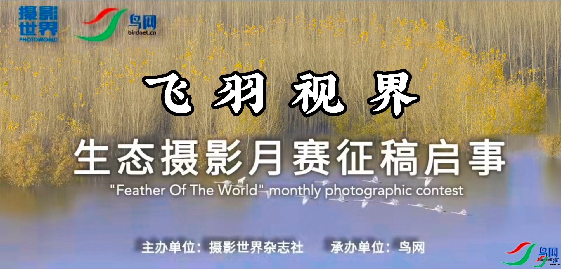 214843gpqd1041hqowzzvd.jpg