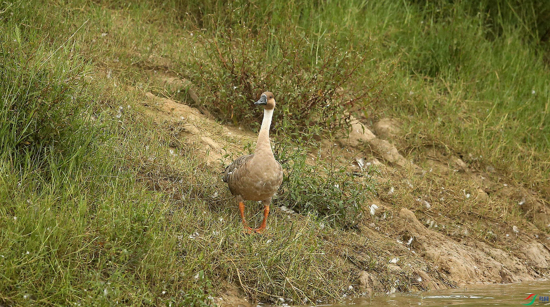 IMG0881.JPG