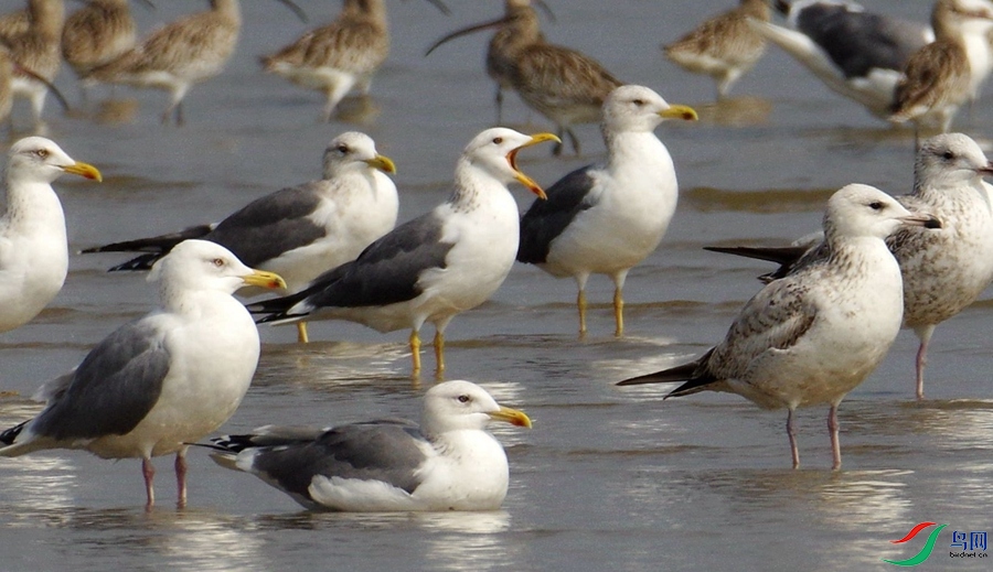 IMGP1519 - ����.JPG