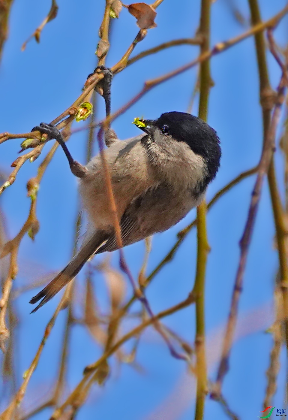 DSC04896 ����.jpg