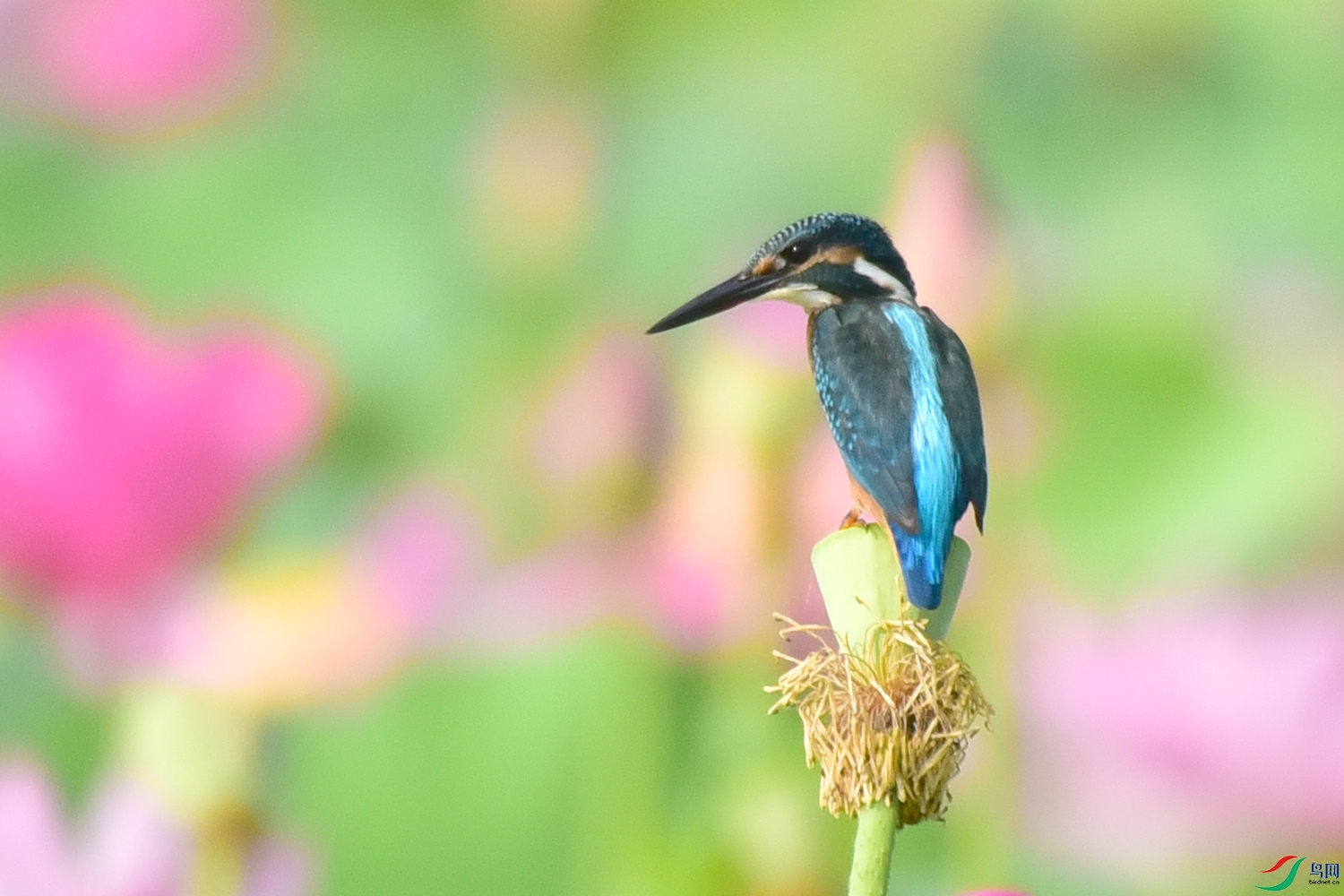 DSC_5832.JPG