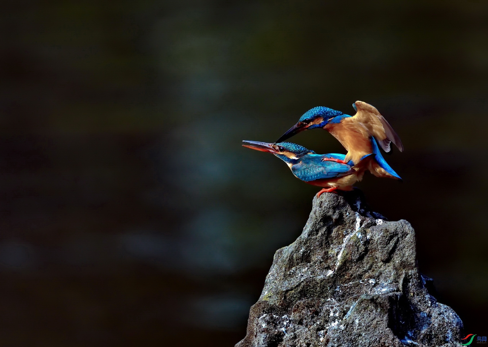 ���� (5).jpg