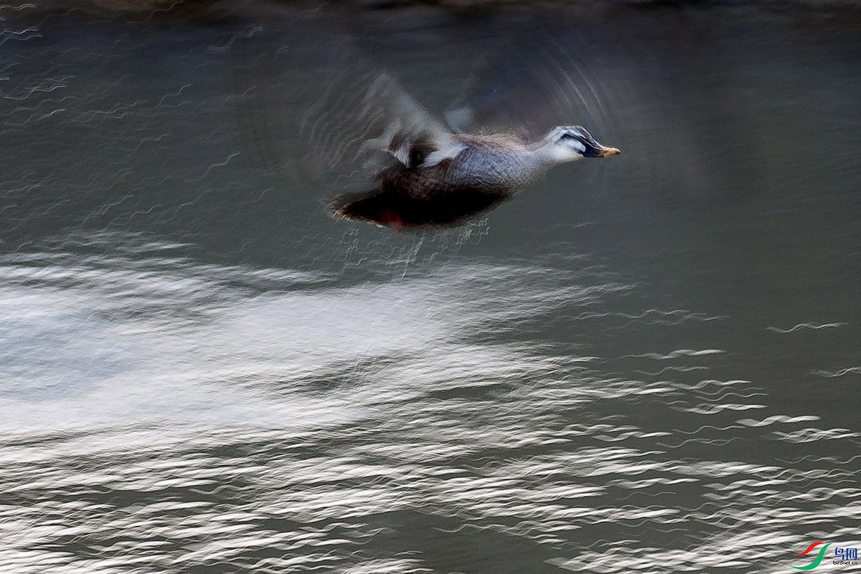 DSC_4416.jpg