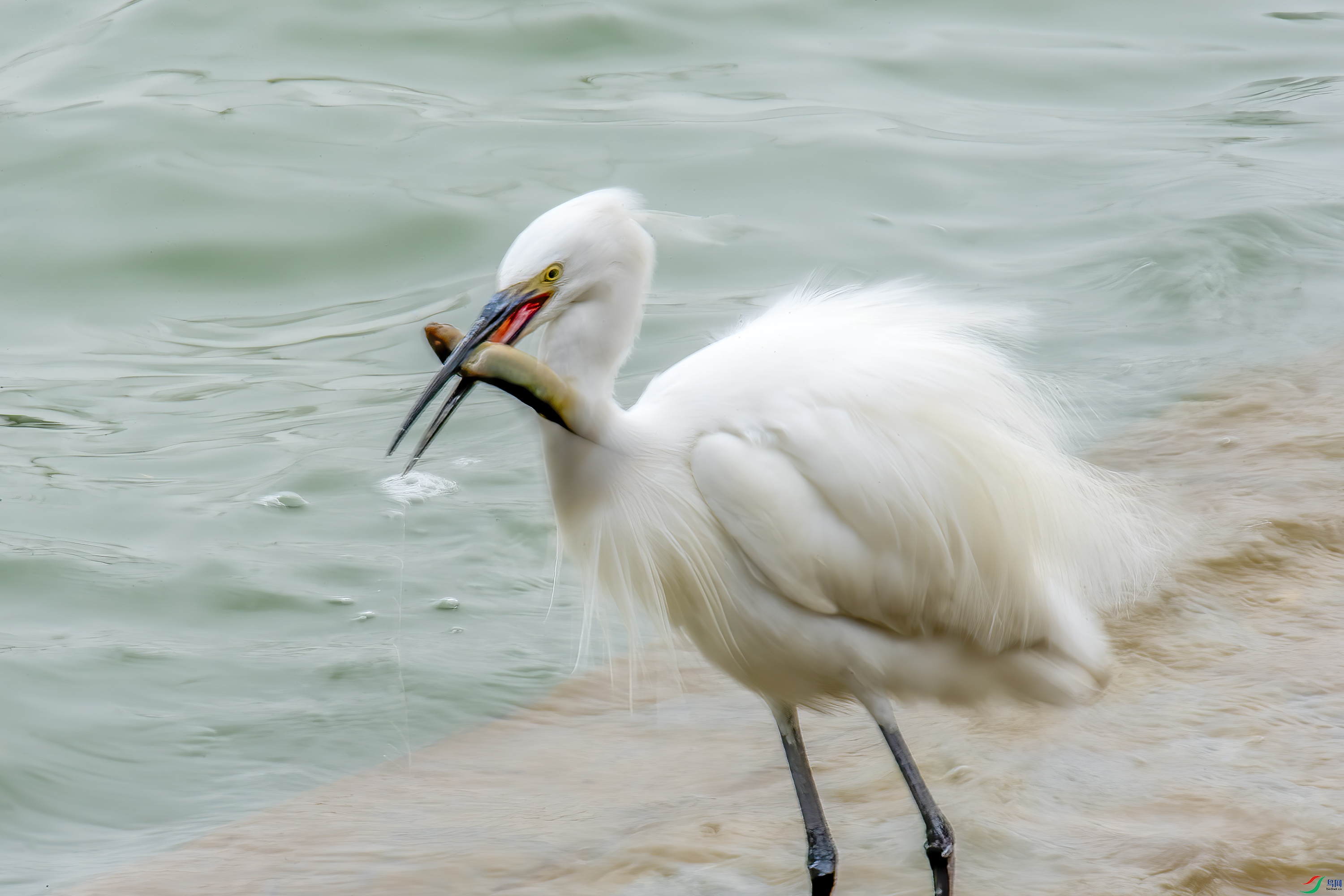 DSC_4437.jpg