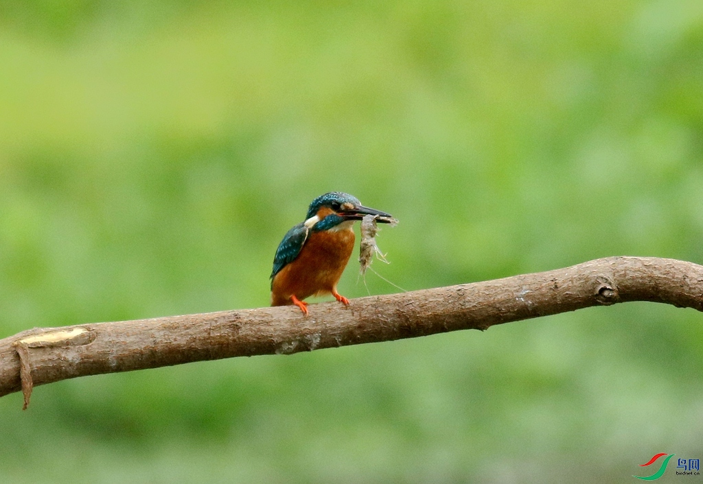 367A3150 (2)_����.jpg